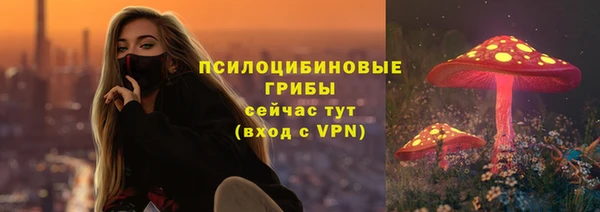 шишки Балабаново