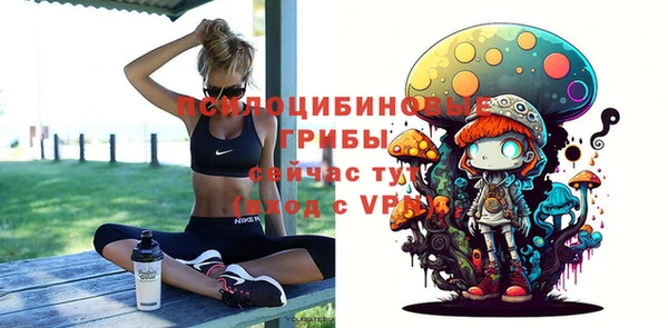 ГАЛЛЮЦИНОГЕННЫЕ ГРИБЫ Слюдянка