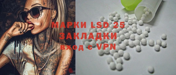 ГАЛЛЮЦИНОГЕННЫЕ ГРИБЫ Слюдянка